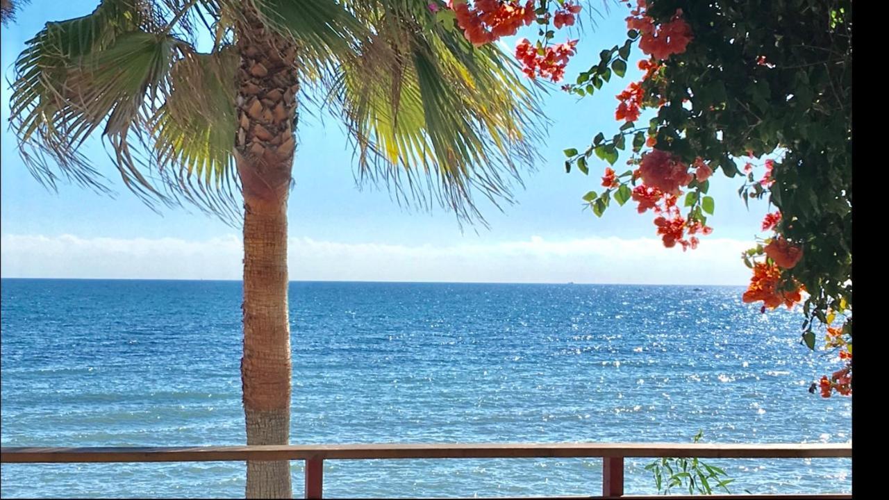 Mi Capricho B17 Beachfront Apartment Sitio de Calahonda 外观 照片